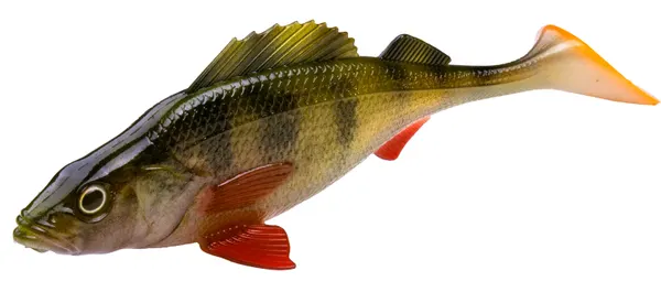 Kolor Perch